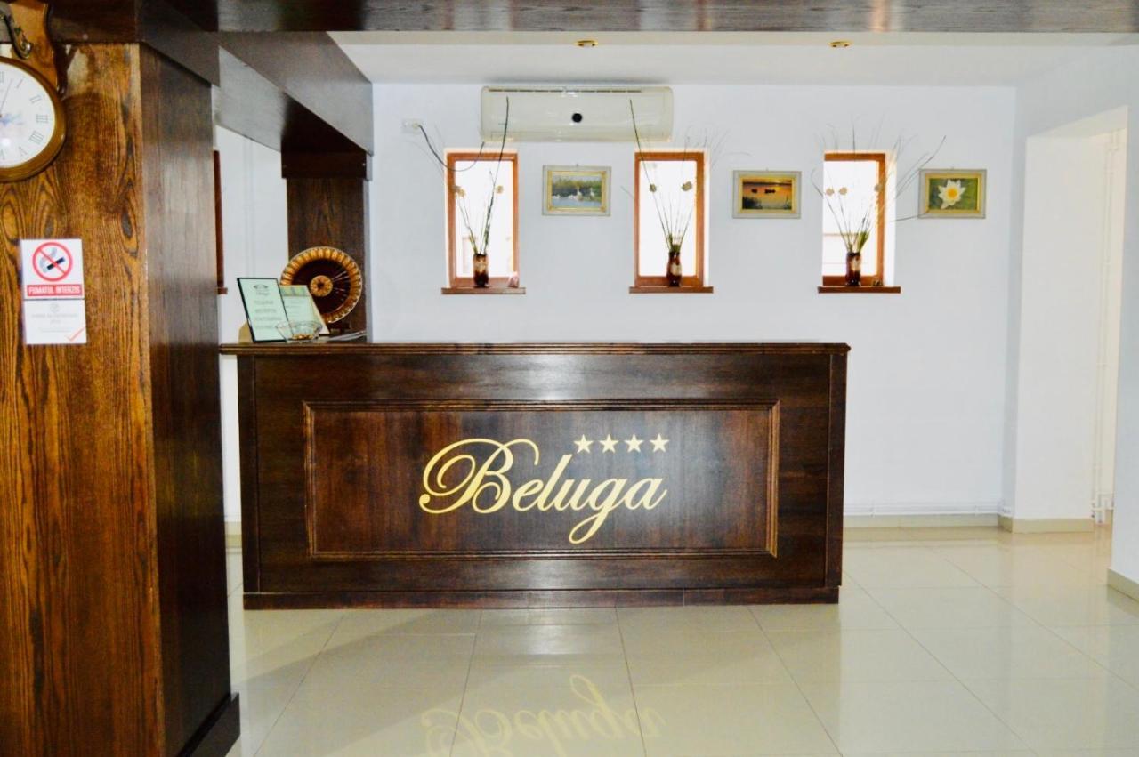 Pensiunea Beluga 4* מוריגיול